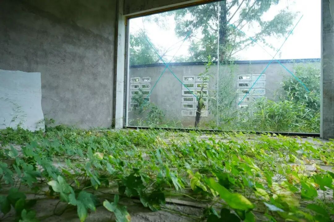 Part.06富阳区独栋毛坯房房源图片