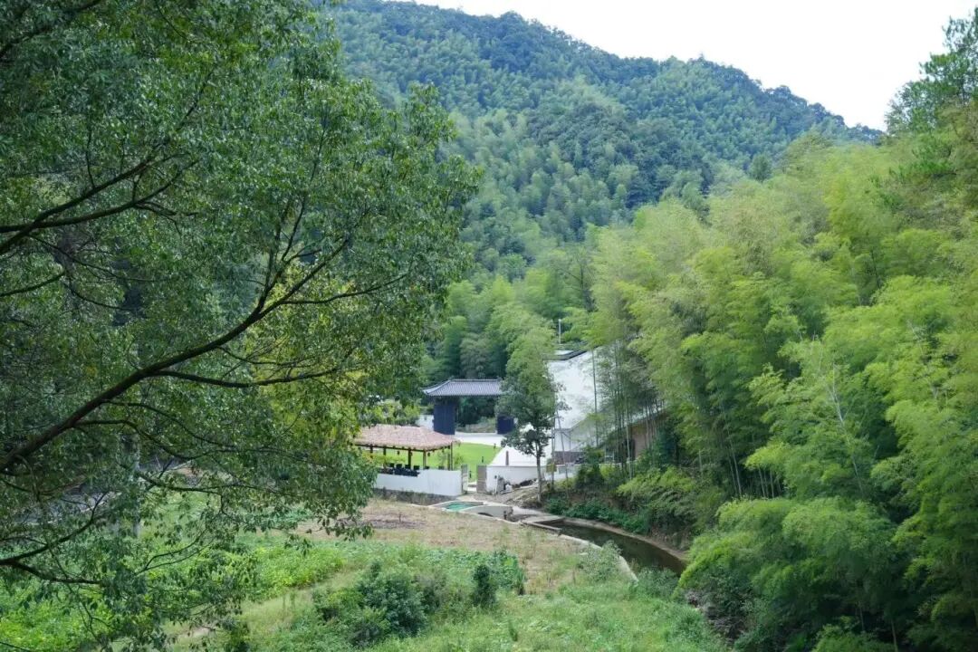 Part.07富阳区精品民宿房源图片