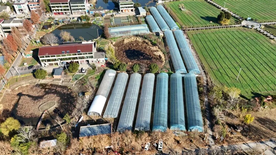 Part.06临平区草莓大棚房源图片