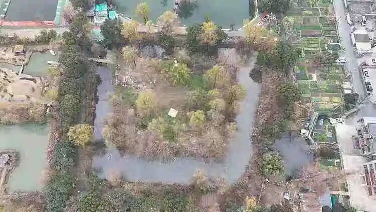Part.06余杭区小岛房源图片