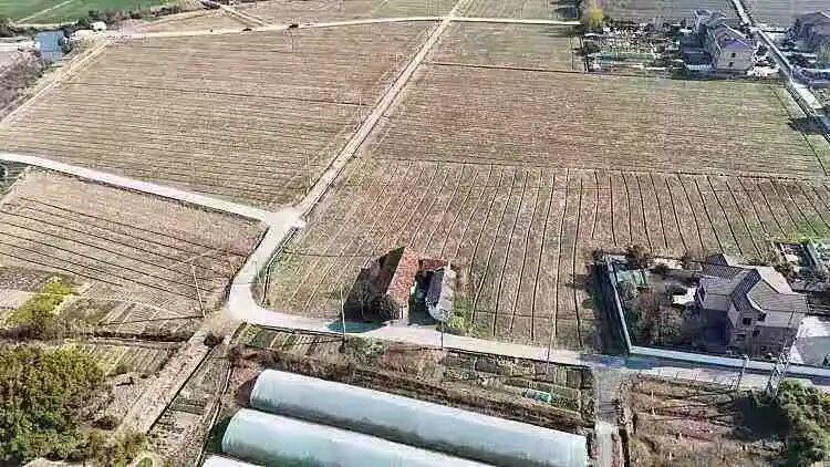Part.07余杭区独栋院子房源图片