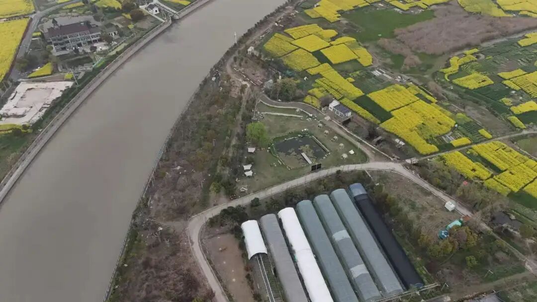 Part.04临平区宠物营地房源图片