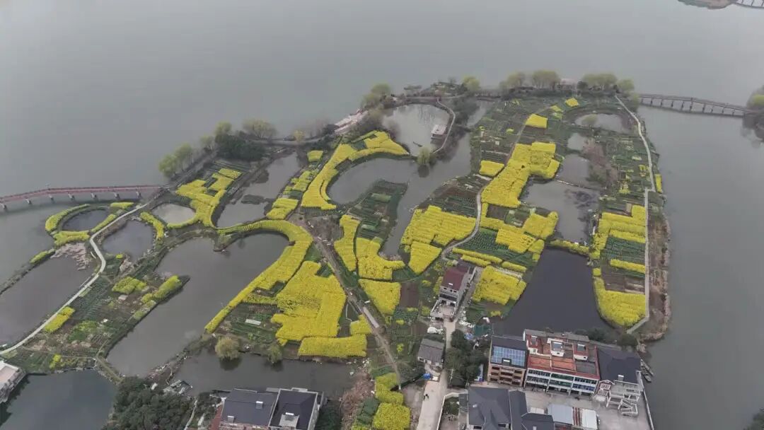 Part.08临平区优质地块房源图片